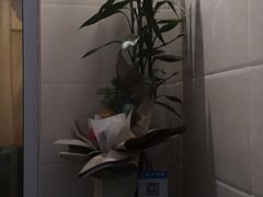 -三色堇(小通巷店)