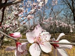 -北京西山国家森林公园
