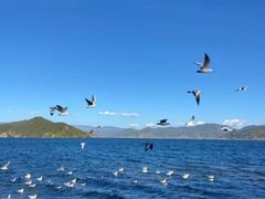 -丽江泸沽湖景区