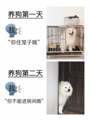 -Oasis Beauty水磨坊科技美肤中心