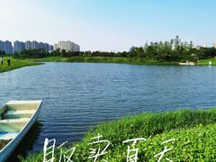 -洋湖国家湿地公园