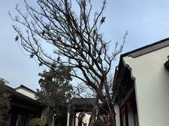 -雅达·阳羡溪山小镇中心