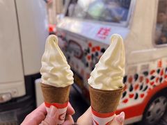 -富豪雪糕车流动点(尖沙咀店)