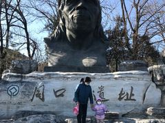 -北京周口店北京人遗址博物馆