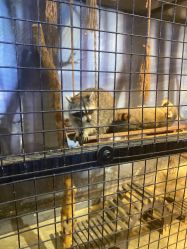 -酷嗒动物文化乐园(cutezoo西溪乐天城店)