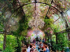 -The Grounds of Alexandria