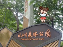 -风云岭森林公园