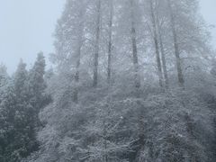 -九峰山