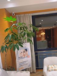 -HEYAN荷妍专业脱毛连锁机构