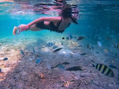 -奥斯卡升龙国际影城(RealD Cinema)