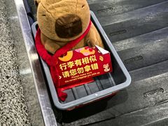 -上海浦东国际机场-T2航站楼