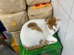 -凤城康记饭店