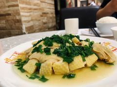 -凤城礼记鱼翅海鲜酒家(新马路总店)