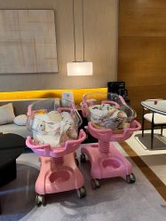 -悦芽母婴护理月子中心(凤起潮鸣府店)