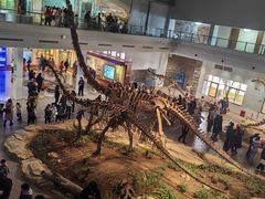 -自贡恐龙博物馆