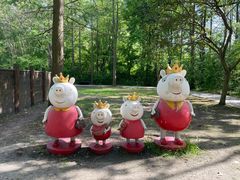 -溱湖国家湿地公园