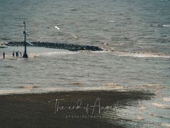-南汇嘴观海公园
