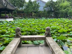 -上海醉白池公园
