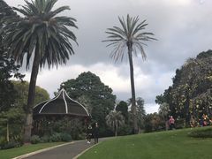 -墨尔本皇家植物园