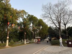 -武汉园博园(武汉自然博物馆)