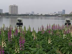 -顺峰山公园
