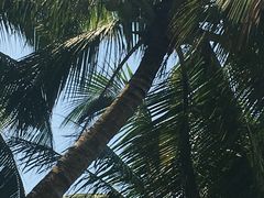 -海口骑楼小吃街