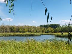 -野鸭湖国家湿地公园