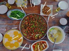 -铁山坪森林公园