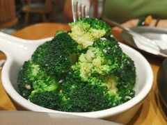 -森Some Fusion(荔湾店)
