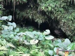 -海口火山口国家地质公园
