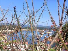 -广州市流溪河国家森林公园