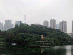 -重庆彩云湖湿地公园