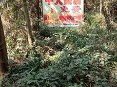 -窦圌山风景区