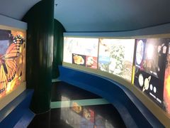 -上海昆虫博物馆