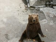 -保定市动物园