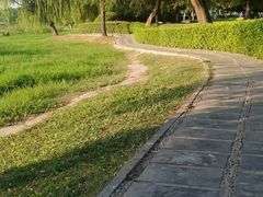 -合肥生态公园