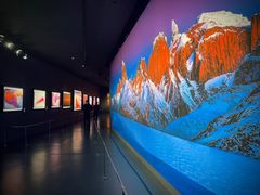 -罗红摄影艺术馆