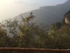 -北京上方山国家森林公园