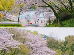 -杭州少年儿童公园