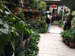 -武汉花鸟市场