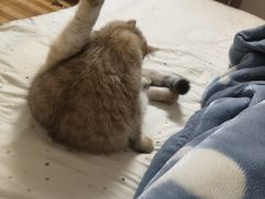 -联合动物医院(光谷诊疗中心)