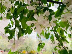 -元大都城垣遗址公园