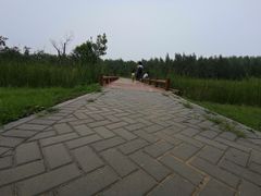 -东郊湿地公园