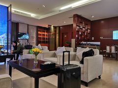 -郑州新郑国际机场T2航站楼-贵宾厅B区