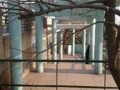 -观象山公园