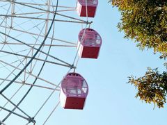 -辛玛王国游乐园