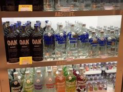 -谢列梅捷沃国际机场