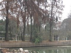 -东湖落雁景区