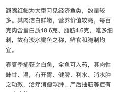 -丹江渔村(首都机场店)