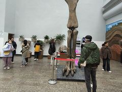 -自贡恐龙博物馆